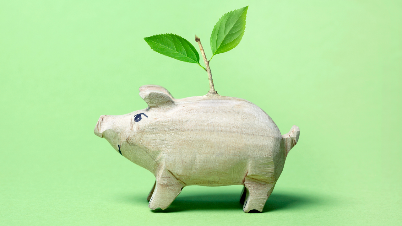 Piggy bank with plant sprouting on top